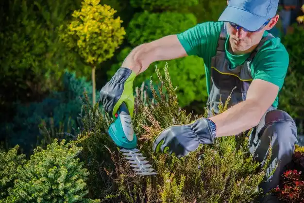 landscaping services Pepper Pike